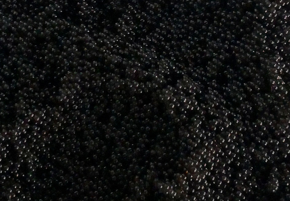 腾博tengbo9885_首页(欢迎您)